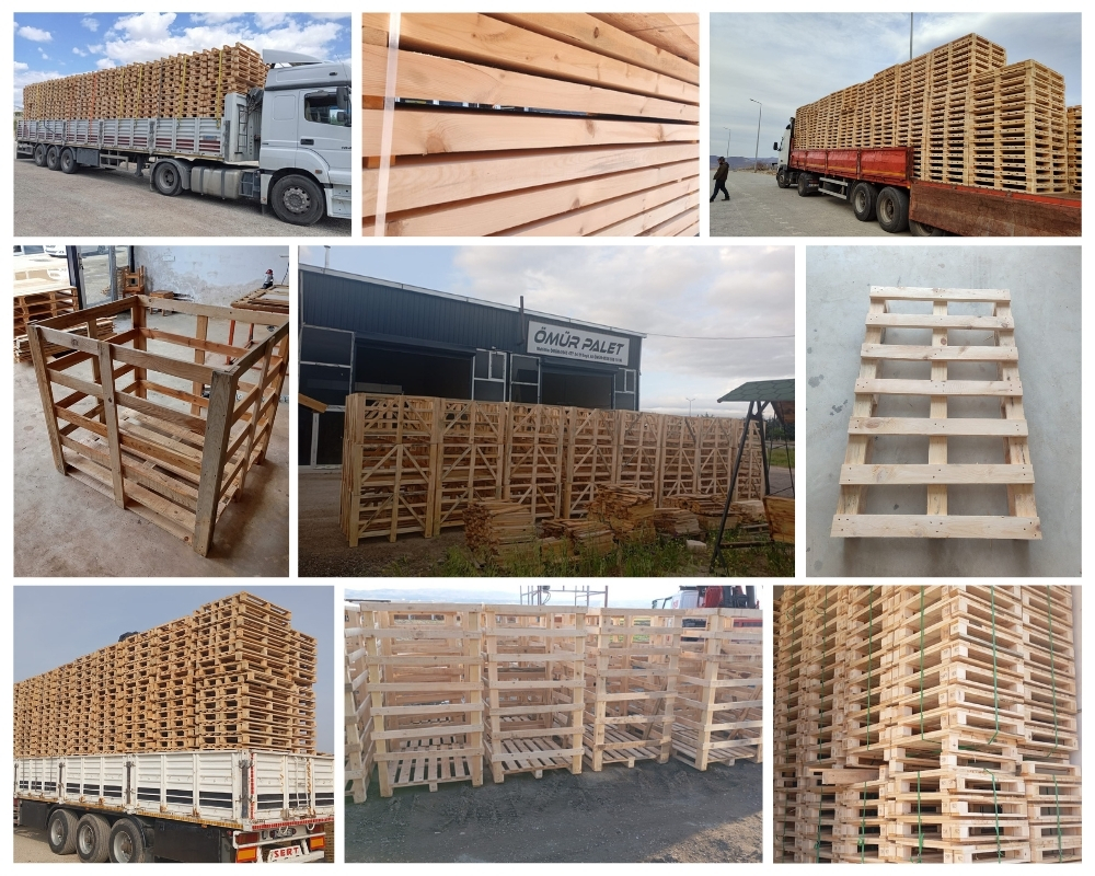 Borgharen Houten Kisten, Europallets Groothandel Kopen
